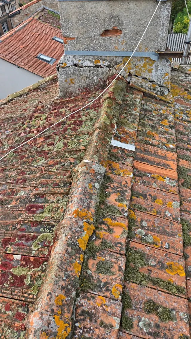 Toiture en tuiles couverte de mousses et lichens avant traitement